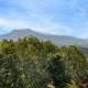 MAISON 145 m², CAMBO LES BAINS, TERRAIN DE 3000 m²