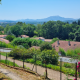 MAISON 184 m², VILLEFRANQUE, TERRAIN DE 1560 M²