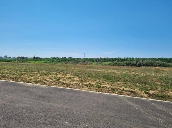 Terrain plat entre Bidache et Saint Palais