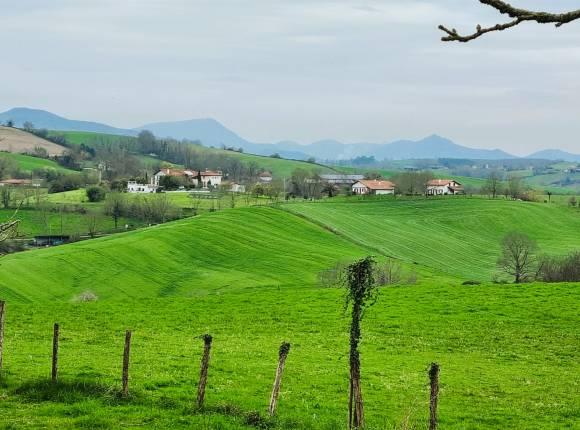 Propriété avec gîte