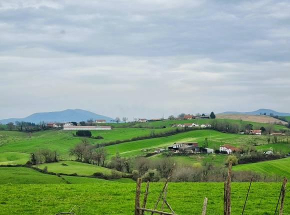 Propriété avec gîte