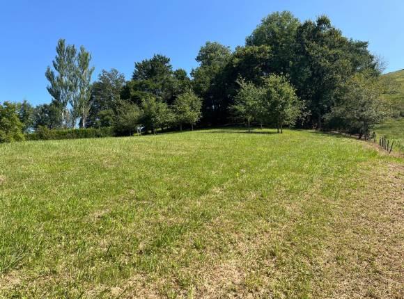 Terrain à bâtir de 3462m²